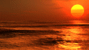 Sunset - Orange Animation
