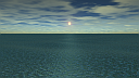 Algae Ocean Sunset