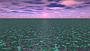 Algae Ocean Sunset