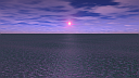 Algae Ocean Sunset